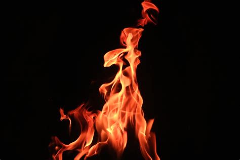 Vector blackboard chicken fireplace grill. wallpaper fire, flame, bonfire, dark background HD ...