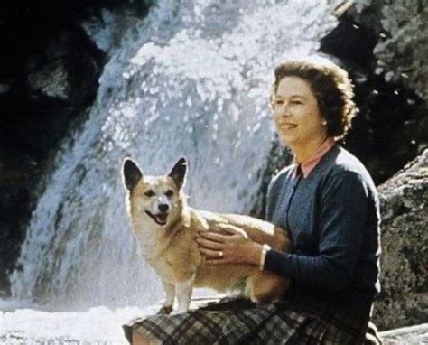 The Queen And Her Corgis Great Pet Living