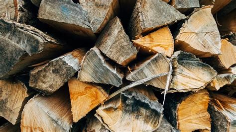 Top 10 Hardest Woods Worldwide Wood Fact Cut The Wood