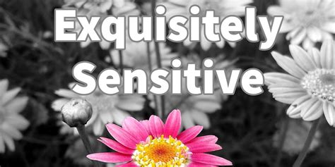Exquisitely Sensitive By Charlie Lemmer