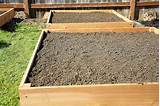 How To Build Raised Garden Beds On A Slope Photos
