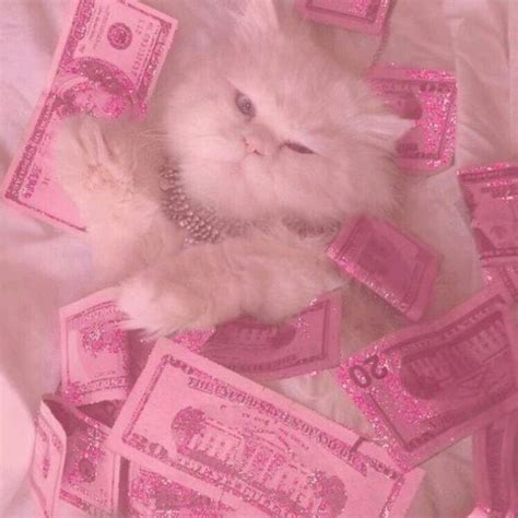 Maybe you would like to learn more about one of these? - aesthetic - | Pink aesthetic, Pink love, Everything pink