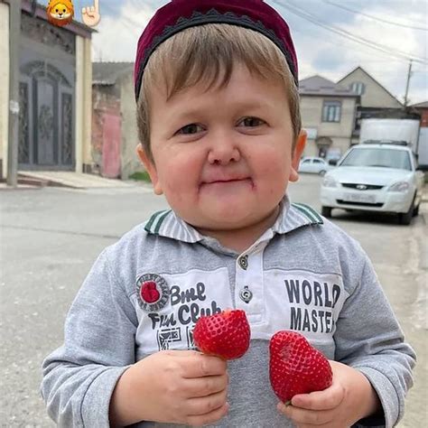 It is not exactly known what disorder hasbulla magomedov has that caused his stature to resemble that of a child. Hasbullah Magomedov Wiki, Biography, Disease, Age ...