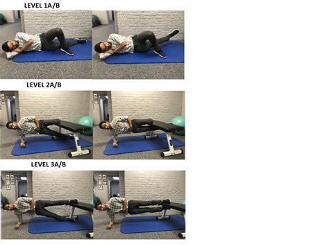 Groin Pain Top Exercises For The Adductor Muscles Atelier Yuwaciaojp