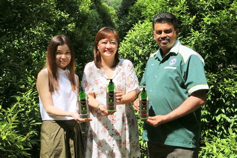 Sebahagian besar daripada hutan di malaysia adalah hutan hujan tropika. CikLilyPutih The Lifestyle Blogger: Botaneco Garden dan ...