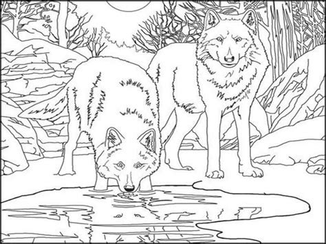 15 Creative Wolf Coloring Pages to Entertain Kids