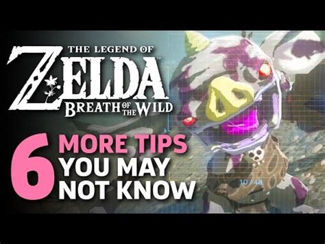 Things I Wish I Knew Before I Started Zelda Breath Of The Wild Hot Sex Picture