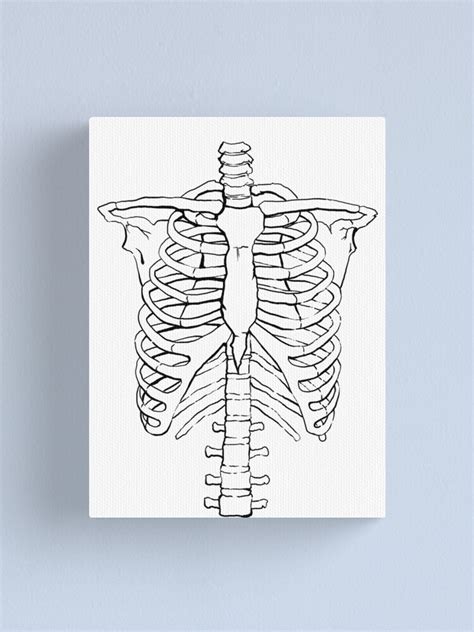 Rib Cage Canvas Print For Sale By Jero Redbubble