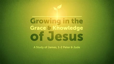 Building Blocks Growing In The Grace And Knowledge Of Jesus A Study Of