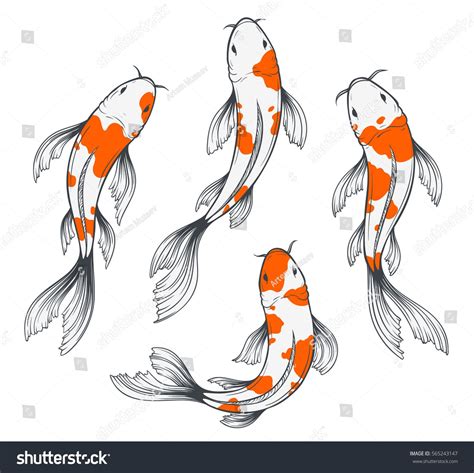 Set Four Traditional Japanese Koi Fishes Stock Vector Royalty Free