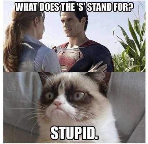 30 Funniest Grumpy Cat Memes Images And Pictures Stock Picsmine
