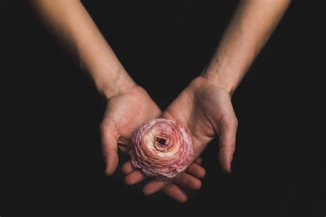 Gambar Fotografi Bunga Kaki Mawar Jari Telapak Tangan Lengan