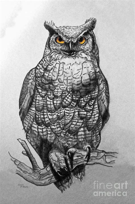Great Horned Owl Black And White Painting By Sandi Oreilly