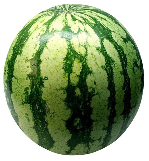 Download Big Green Watermelon Png Image For Free