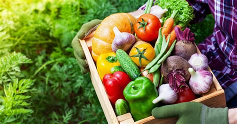Organic Fresh Produce Is Rising And Will Continue To Rise For Years To