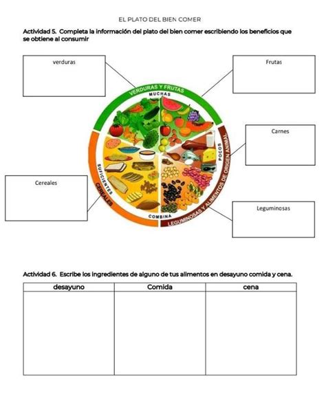 El Plato Del Bien Comer Actividad Completa La Informaci N Del Plato