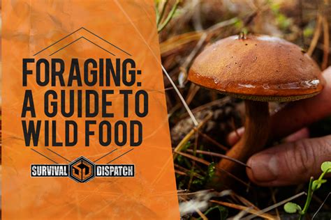 Foraging A Guide To Wild Food Survival Dispatch