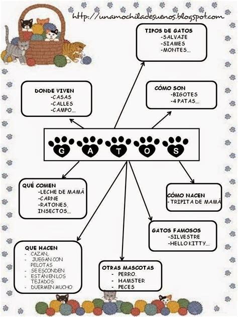 Pin de Roberto Leandro en gato | Gatos, Tipos de gatos, Videos