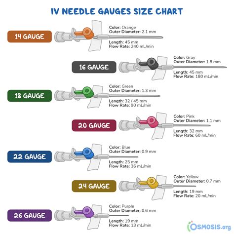 Guide To Iv Catheter Sizes Gauge Diameter Length Flow 49 Off