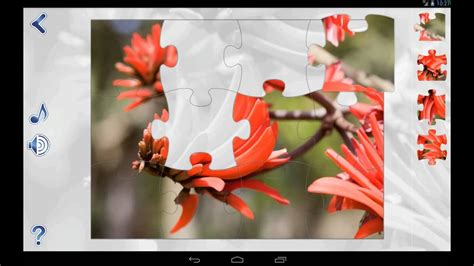 Jigsaw puzzles direct have made buying a jigsaw puzzle online easier than doing one! Jigsaw Puzzles: Nature - YouTube