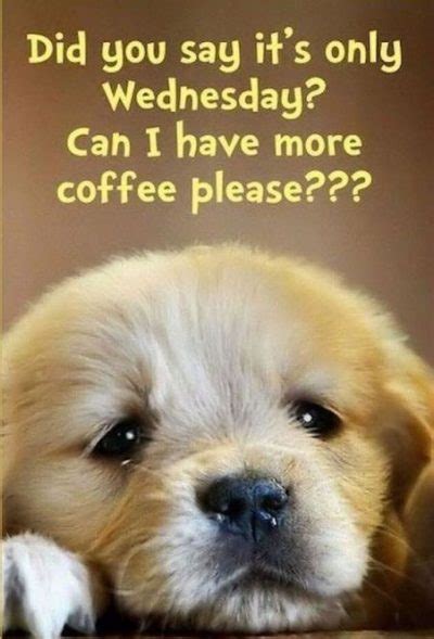 60 Wednesday Coffee Memes Images And Pics To Get Through The Week