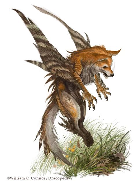 Enfield The Bird Fox Creature Submission Archive Ark Official
