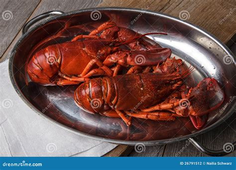 Cooked Lobster Stock Photo Image Of Serving Seafood 26791512
