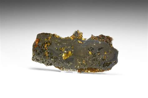 Sold Price Large Polished Seymchan Meteorite Slice May 3 0117 1000