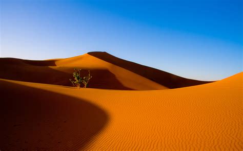 Free Download Desert Backgrounds Download 4096x2160 For Your Desktop