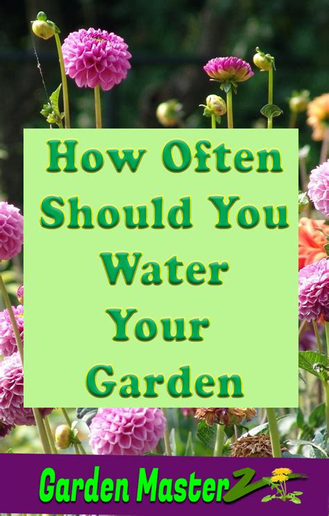 How Often Should You Water Your Garden The Answer Lies Within
