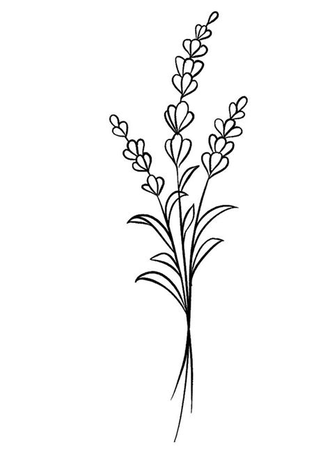 Pin By Ömür İnce On Dövme Flower Line Drawings Flower Drawing