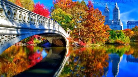 Bridge Between Body Of Water And Colorful Autumn Leafed Trees Reflection On Water In Buildings