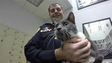 Mich Pd Interview Police Cat Candidates