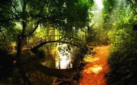 Bridge Over Forest River Wallpapers And Images