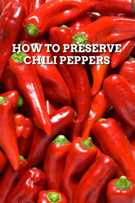 how to preserve chili peppers stuffed peppers chili pepper recipes dried red chili peppers