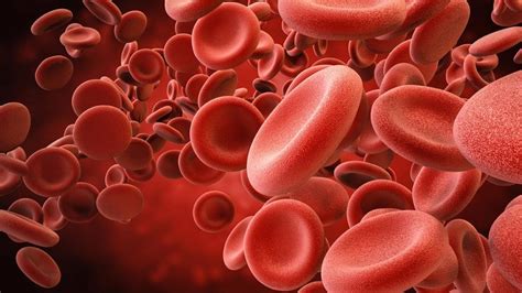 Blood Clot Awareness Could Save Your Life — Health Insight