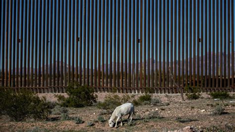 74 More Miles Of Border Wall Set To Go Up In Arizona Feds Say