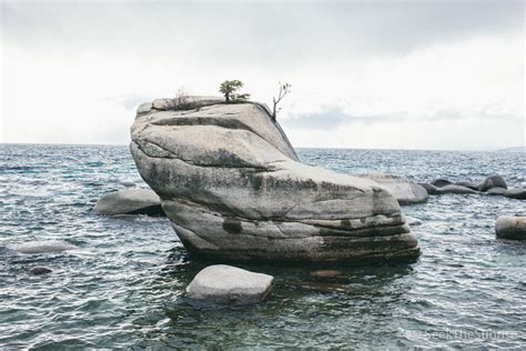 Bonsai Rock In Lake Tahoe How To Find And Photograph The Bonsai Tree