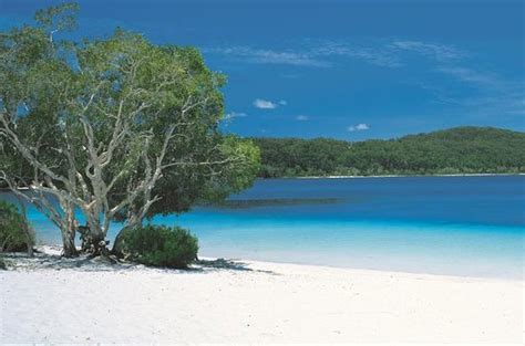 Fraser island is one of queensland's most sought after holiday destinations. 2-Day Fraser Island 4WD Tour from Brisbane or the Gold ...