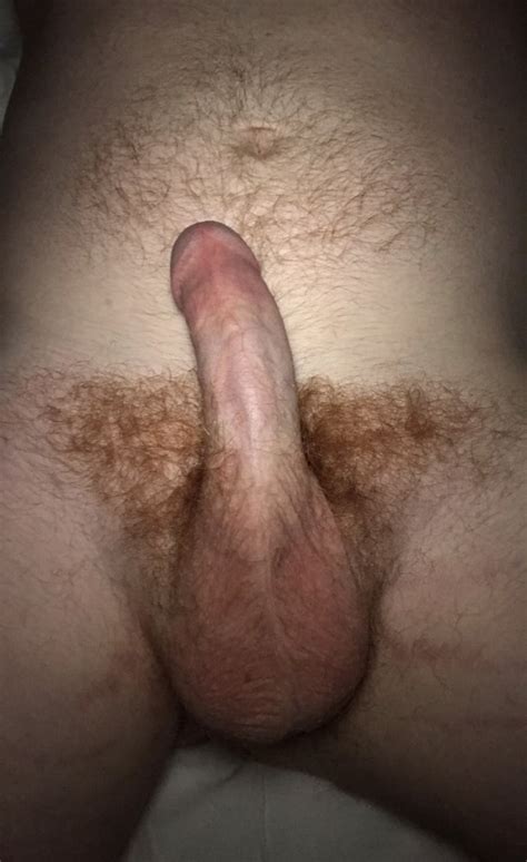 hairy ginger cock shiny and hard 10 pics xhamster
