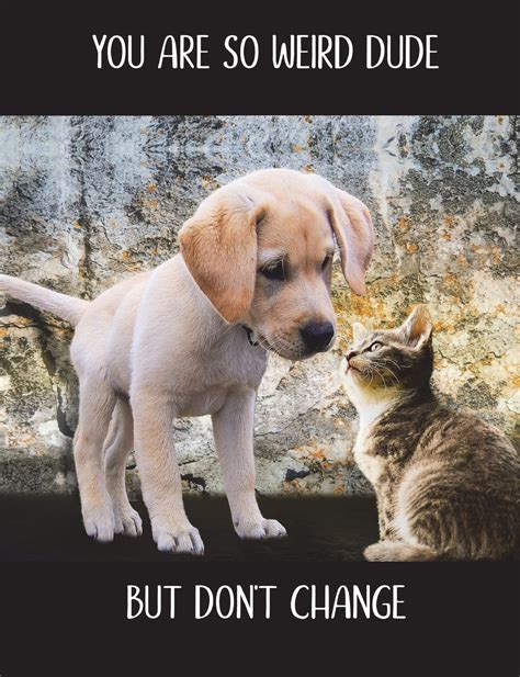 18 Dog And Cat Funny Quotes Vitalcute