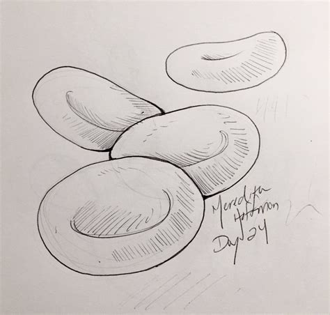 Another free manga for beginners step by step drawing video tutorial. Red Blood Cell Drawing at PaintingValley.com | Explore ...