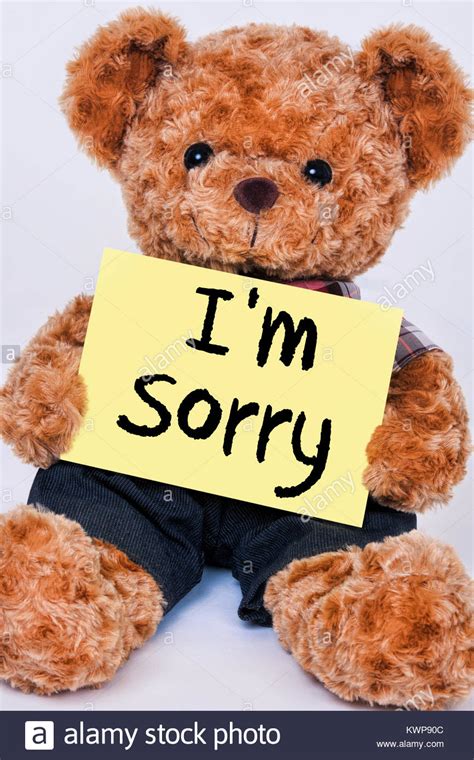 Cute teddy bear holding a yellow sign that reads I"m Sorry ...