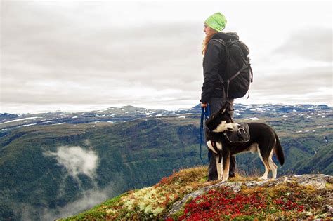 Aim to play with your dog twice a day for a. How to Train Your Dog for Hiking | GearJunkie