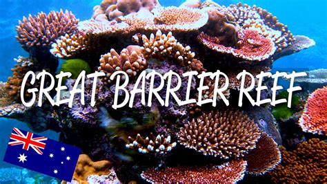 Great Barrier Reef Unesco World Heritage Site Youtube