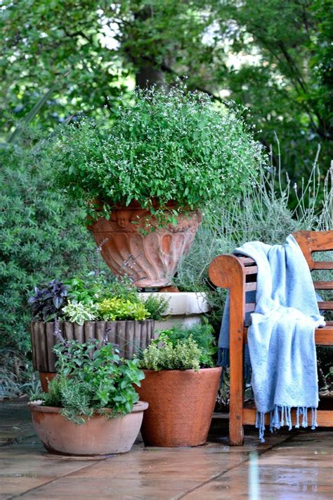 10 Potted Herb Garden Ideas Elegant And Stunning Santa Barbara Home