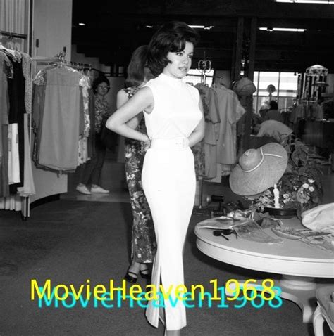 Annette Funicello Vintage 225 Negative 1031 Photo Transparency 1738804888