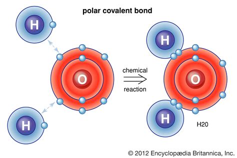 Polar Covalent Bonds On Emaze