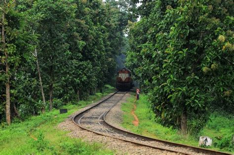30 Kerala Images That Will Make You Want To Visit Kerala Iris Holidays