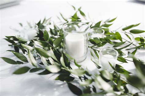 How to prepare your italian ruscus that is shipped direct from the growers in florida. Rustic Elegance | Italian ruscus, Simple centerpieces ...